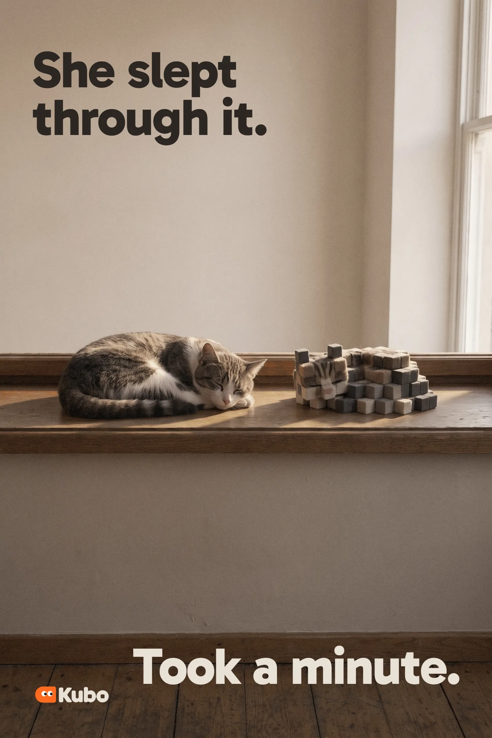 Poster: She slept through it. Took a minute. A sleeping cat beside its felt-cube copy