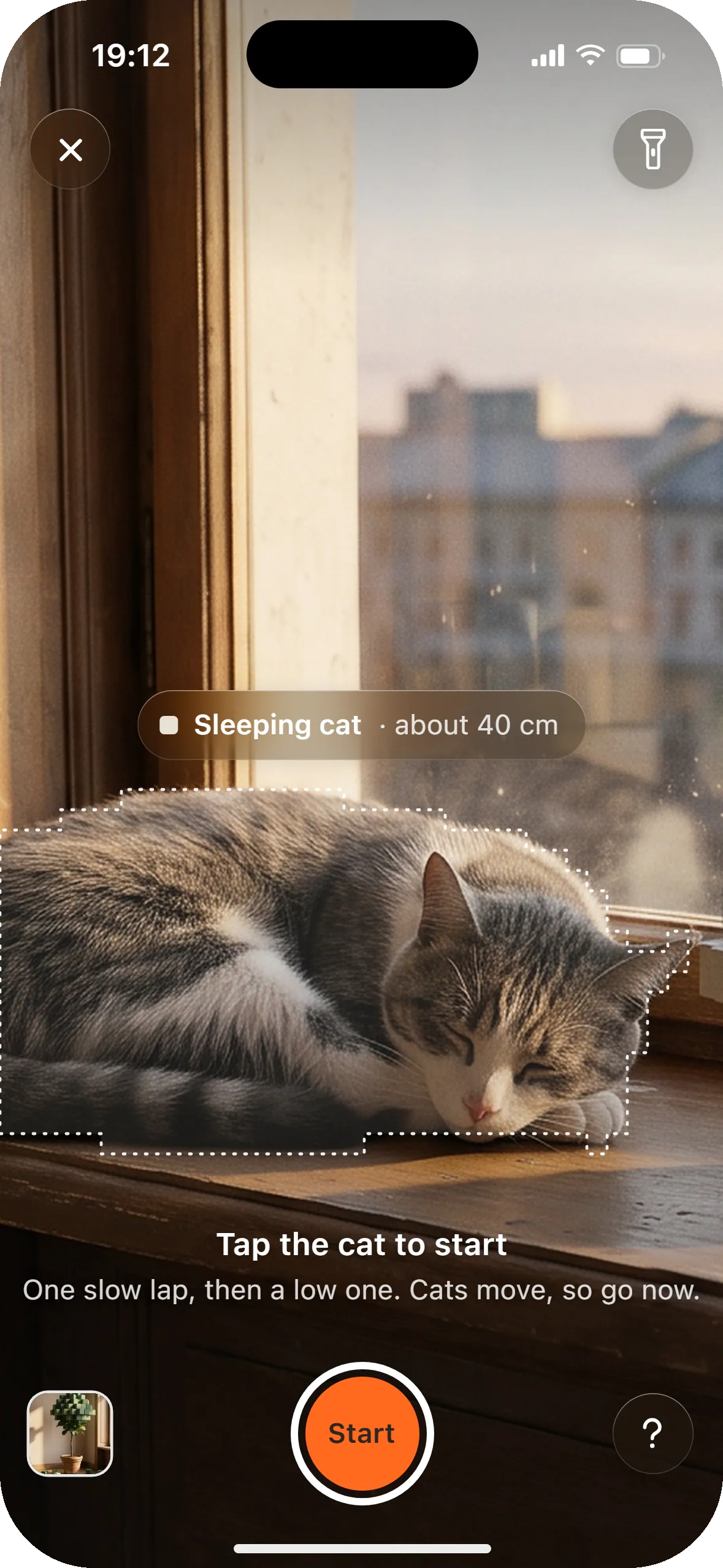 Starting a capture: the sleeping cat in a cube-stepped outline