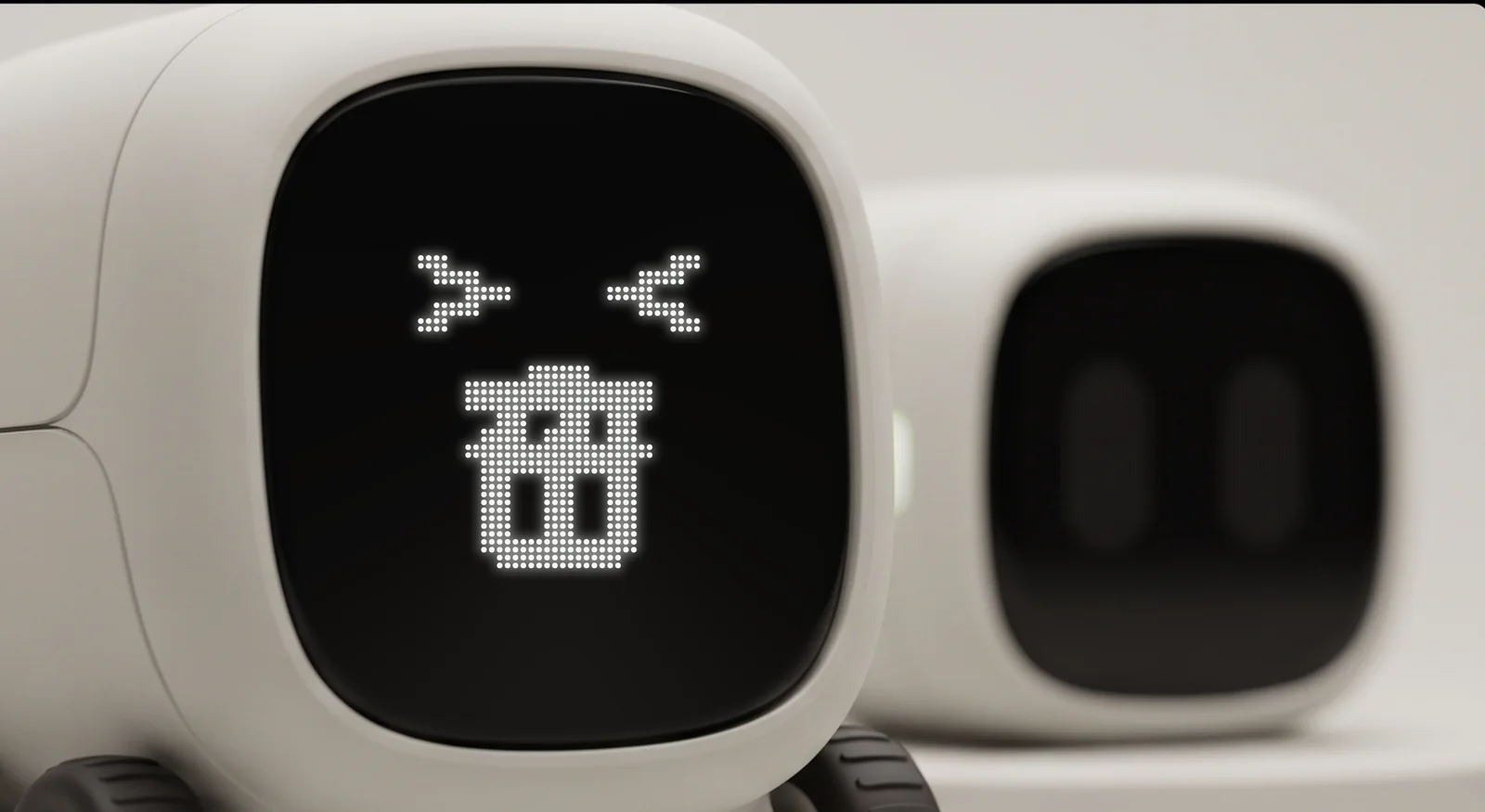 Rover's face showing a full bin with squinting eyes