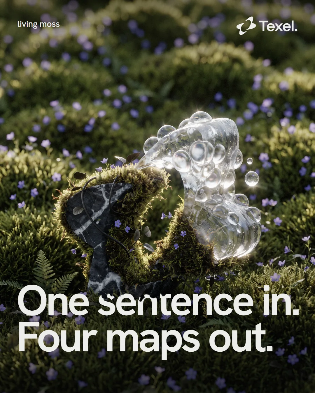 Poster: one sentence in, four maps out, the living mark in a field of moss