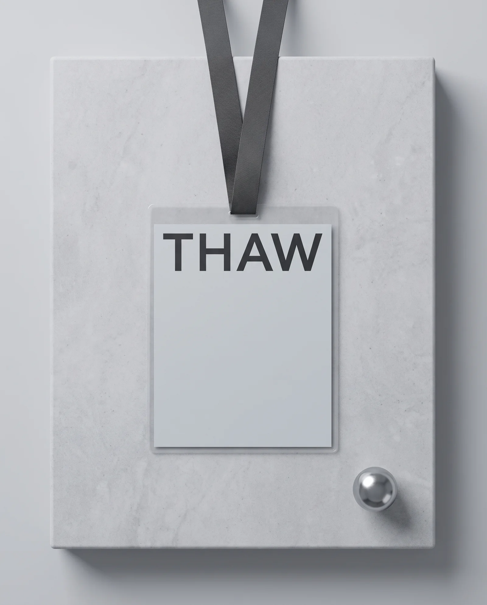 A Thaw conference lanyard badge