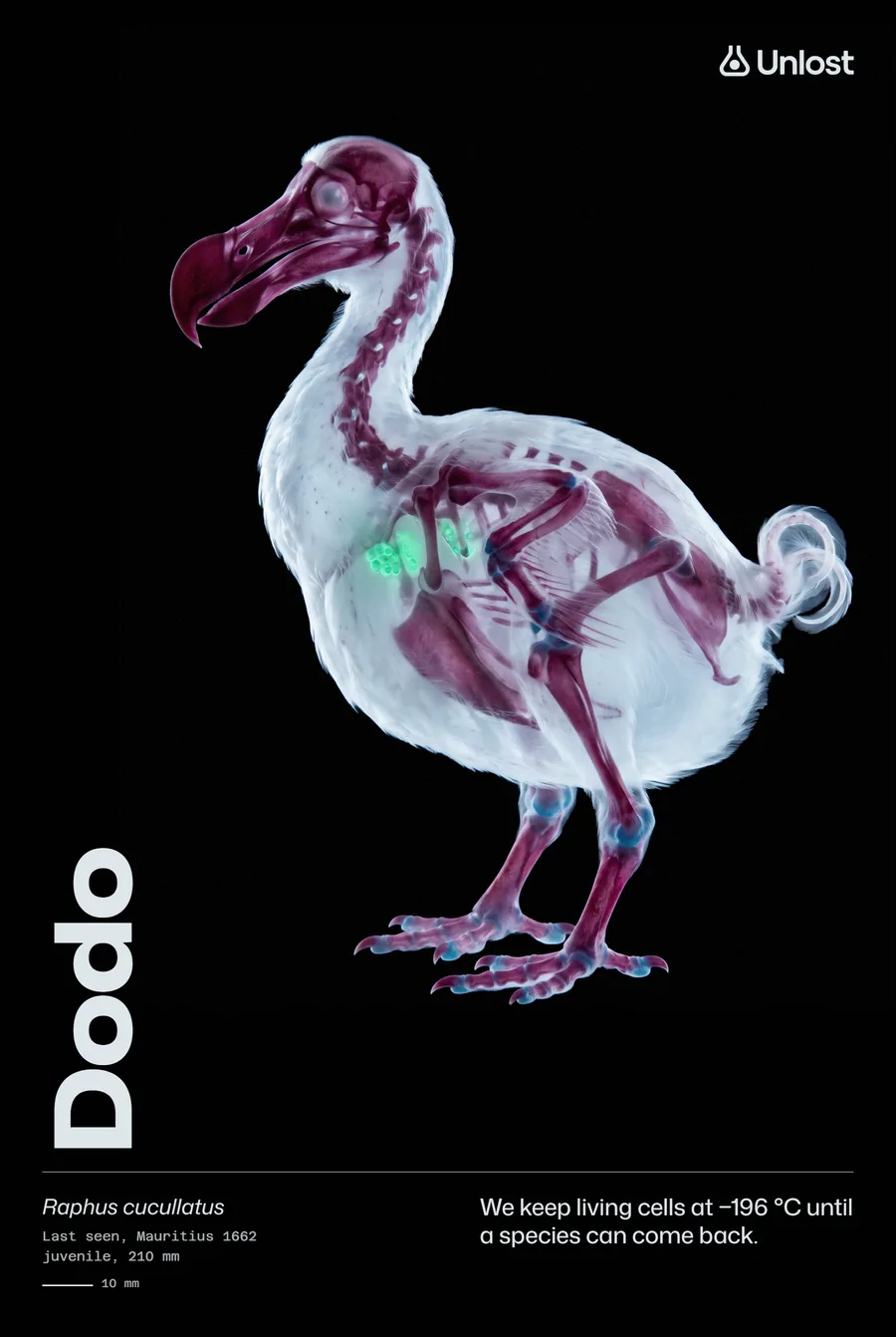 Poster: Dodo, cleared; We keep living cells at −196 °C until a species can come back