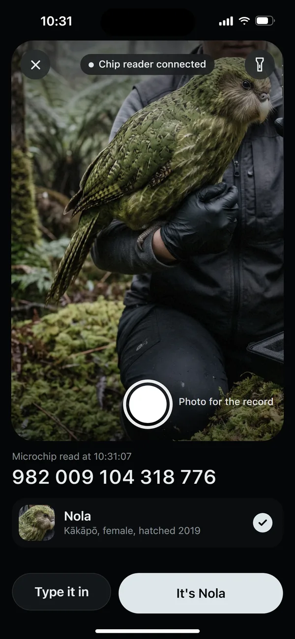 Field, identify: the chip reader names Nola, a kākāpō, over a photo of her in the vet's hands