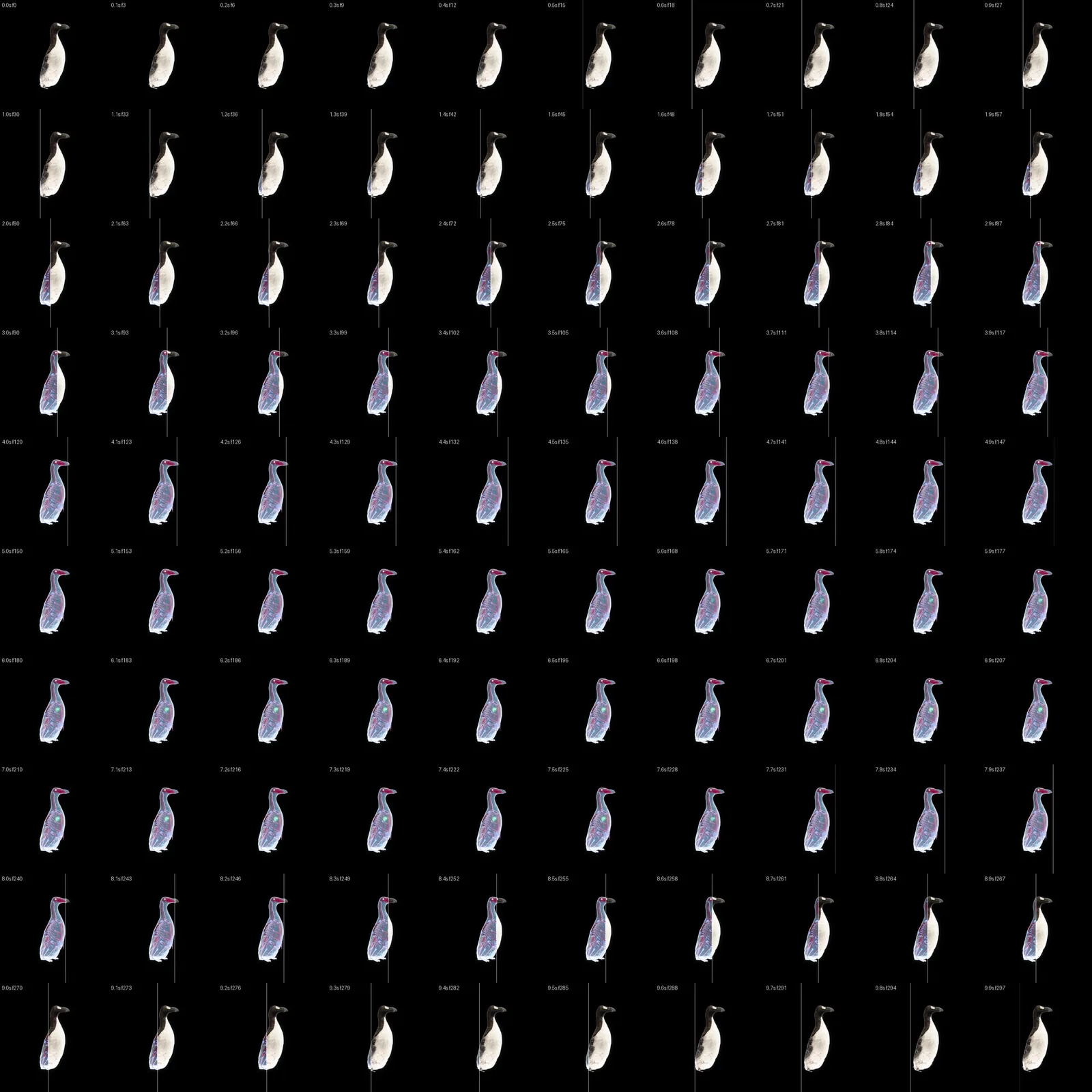 The clearing sweep, one frame every 0.1 seconds: the plane crosses, the bird clears, the cells light and the feathers return