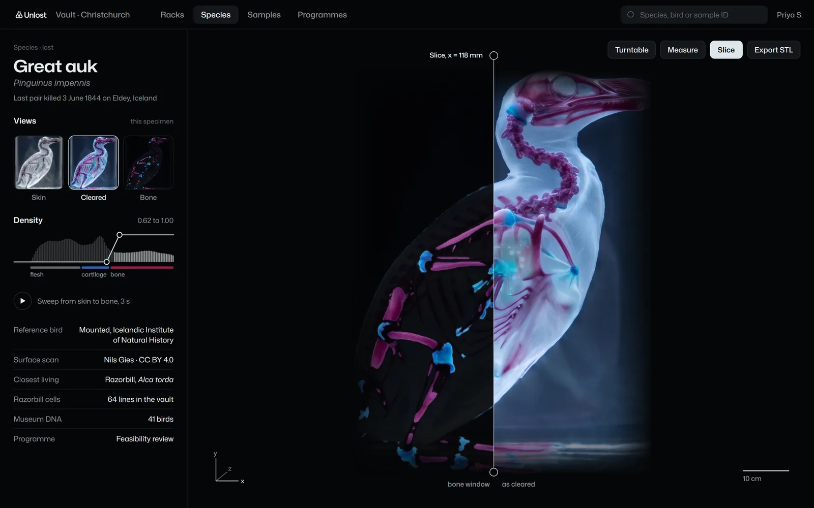 Vault, species: the great auk cleared, the slice plane and the skin-to-bone density