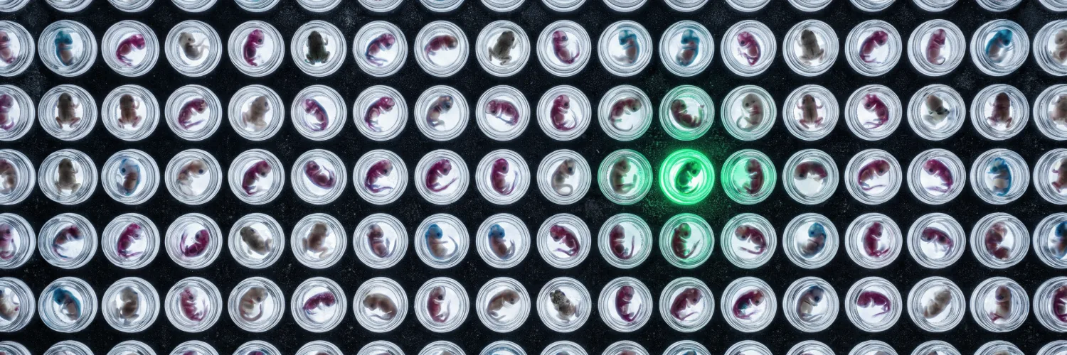 The Unlost X header: cleared specimens on black